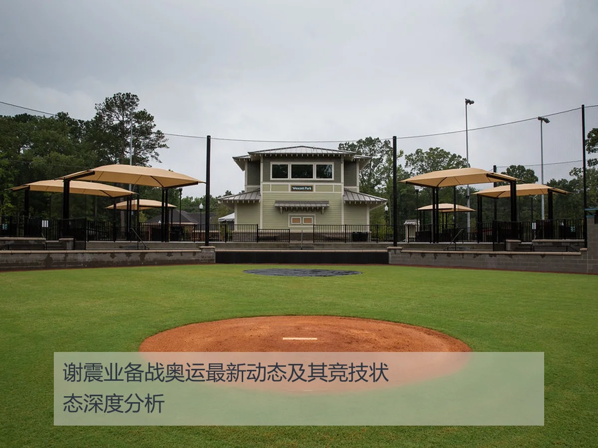 谢震业备战奥运最新动态及其竞技状态深度分析